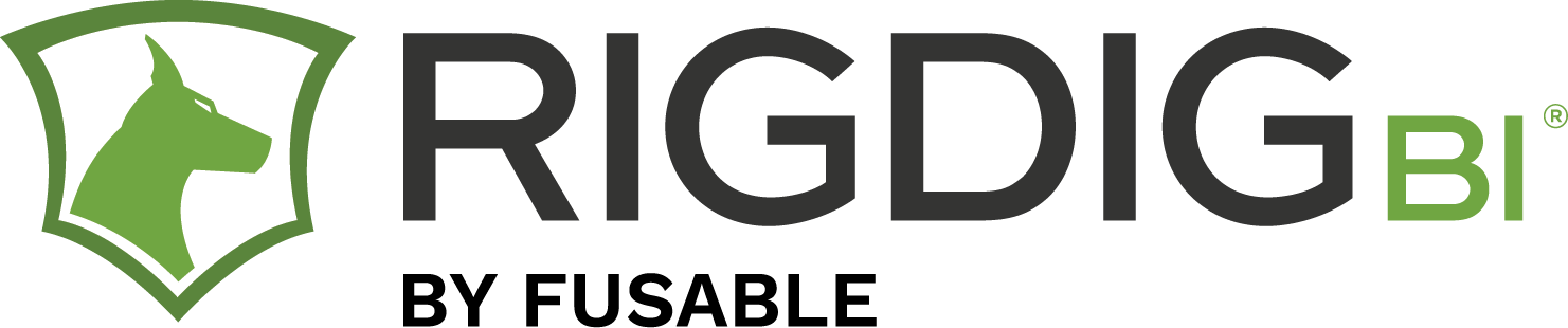 RigDig BI Logo